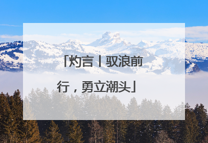 灼言丨驭浪前行，勇立潮头